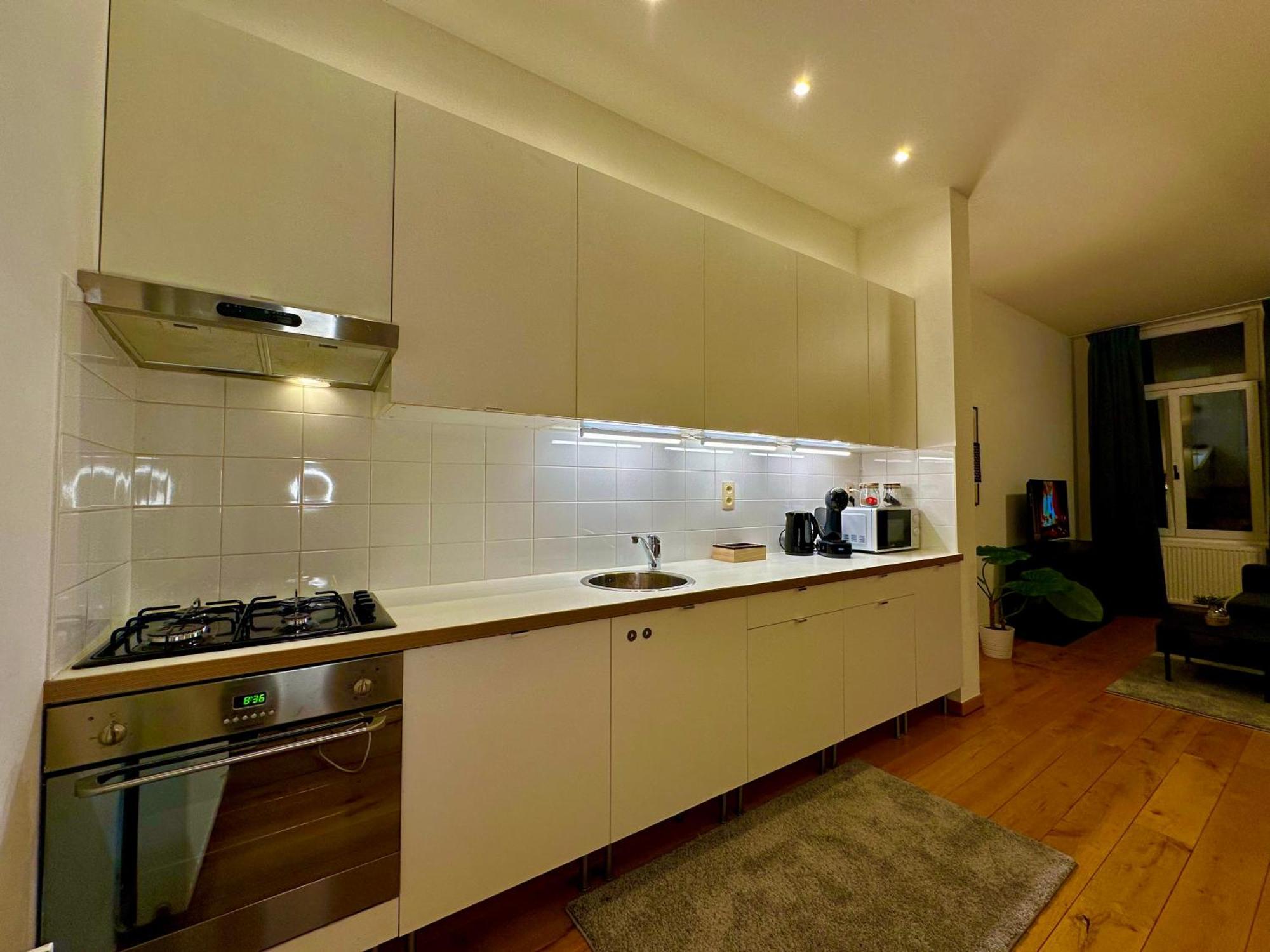 Appartement Luxury Museum By Rikas Anvers