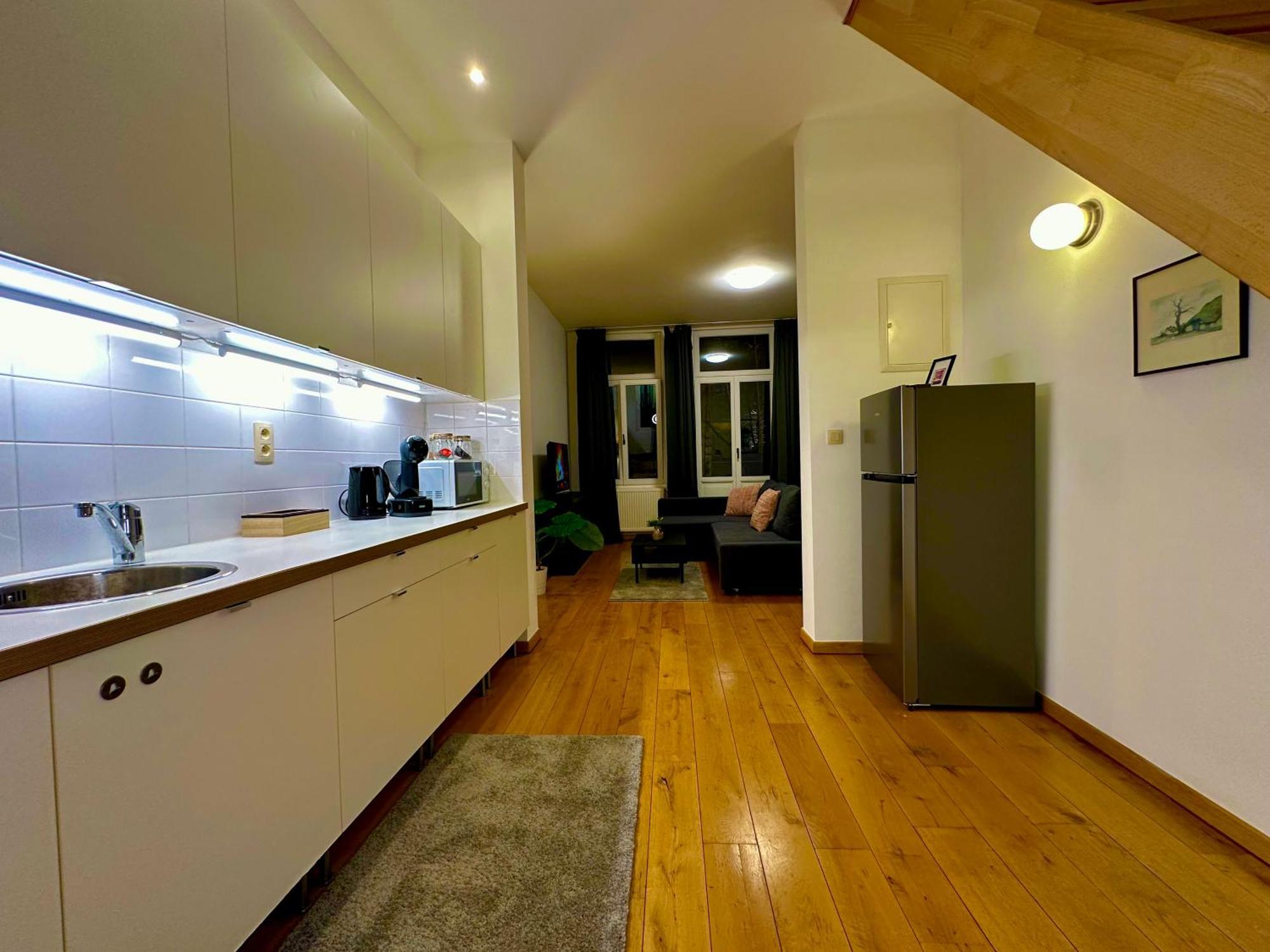 Luxury Museum By Rikas Appartement Anvers